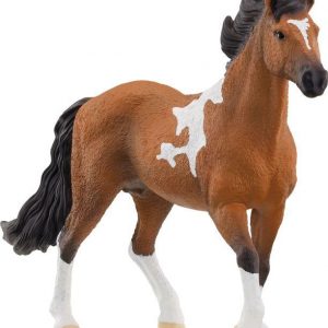 Mangalarga Marchador Hengst